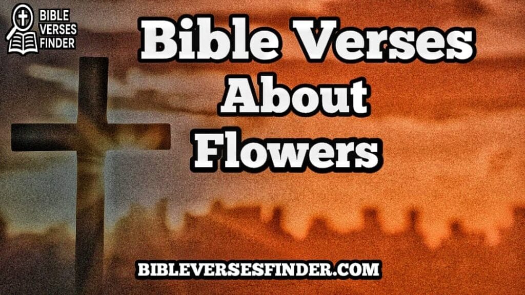 Bible Verse About Flowers