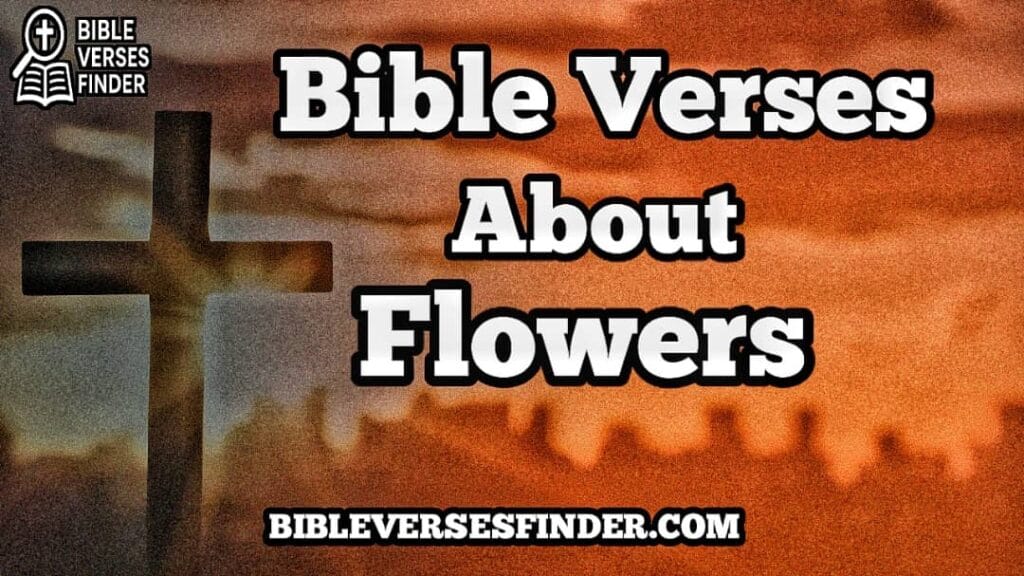 Bible Verses About Flowers