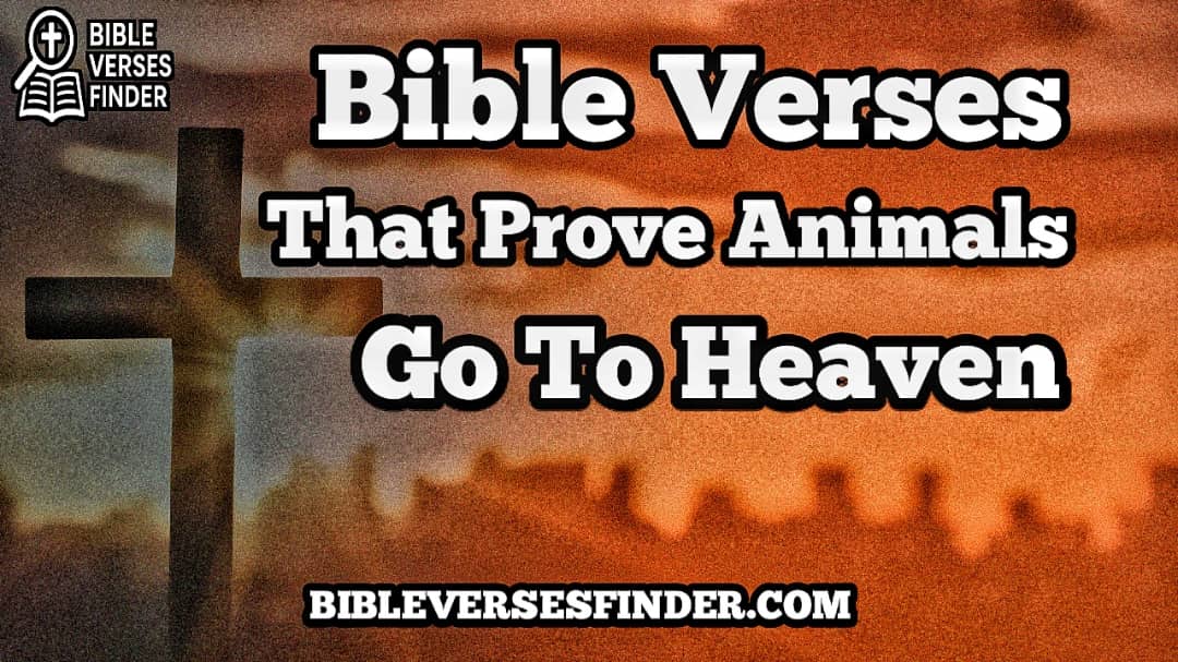Bible Verses That Prove Animals Go To Heaven