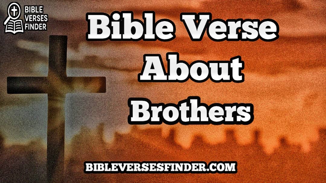Bible Verse About Brothers