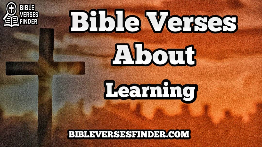 Bible Verses About Learning