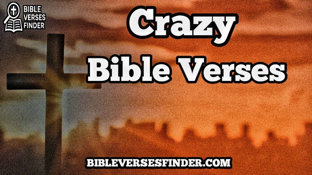 Crazy Bible Verses