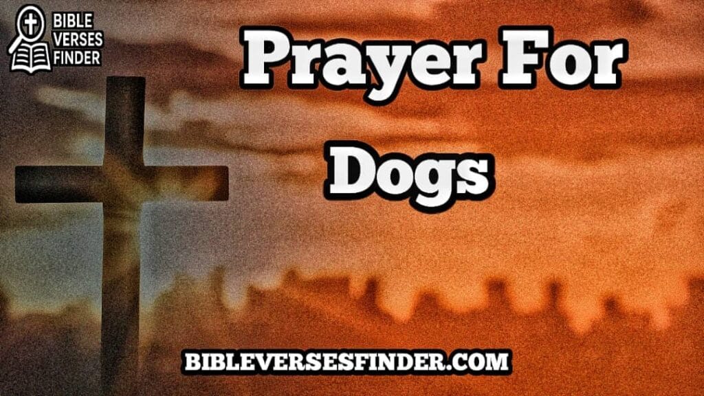 Prayer For Dogs