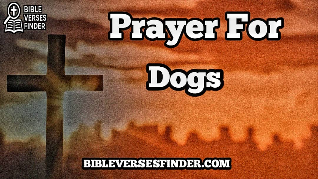 Prayer For Dogs