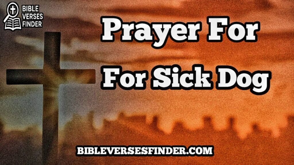 Prayer For Sick Dog