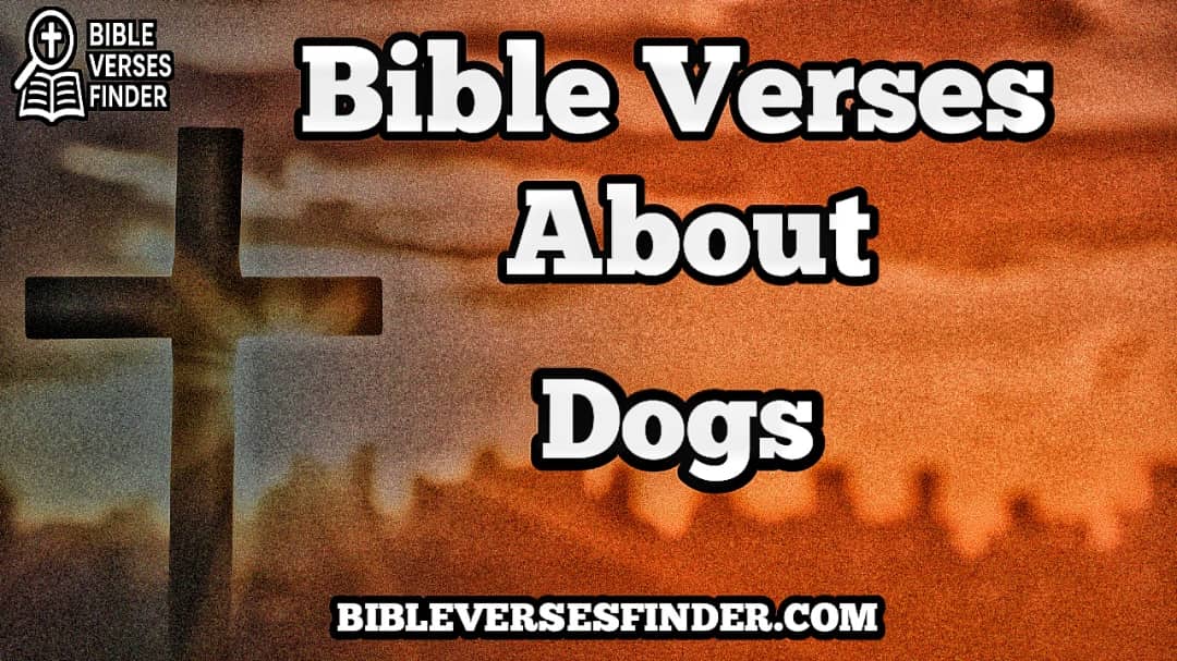 Bible Verse About Dogs