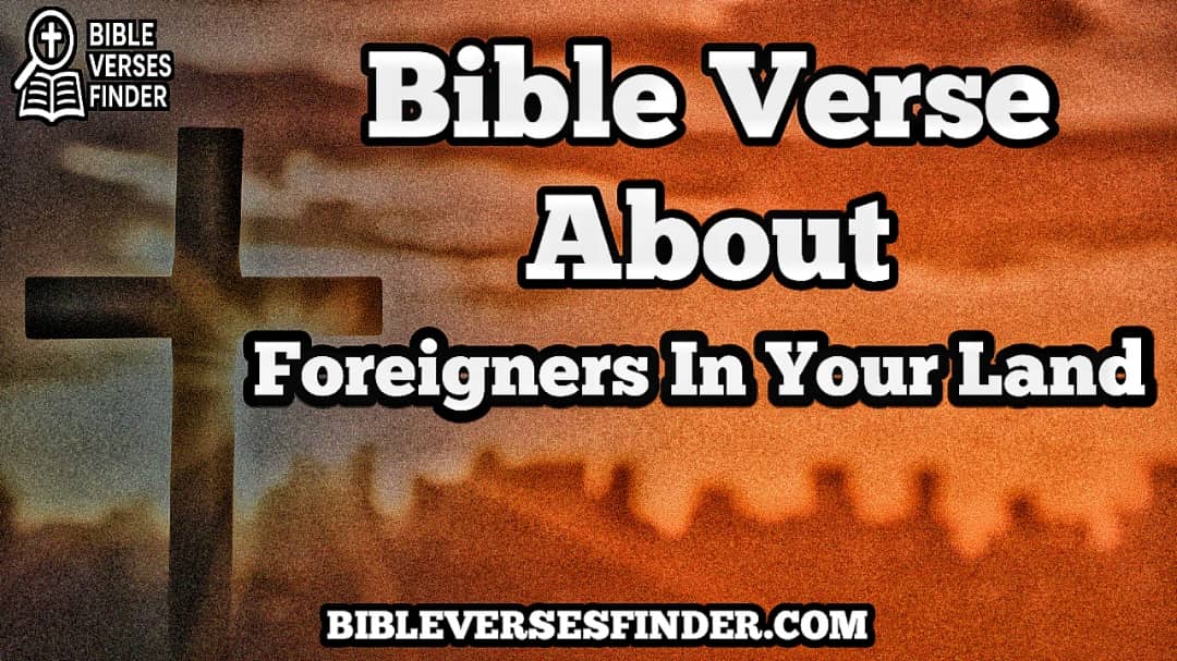 Bible Verse About Foreigners In Your Land