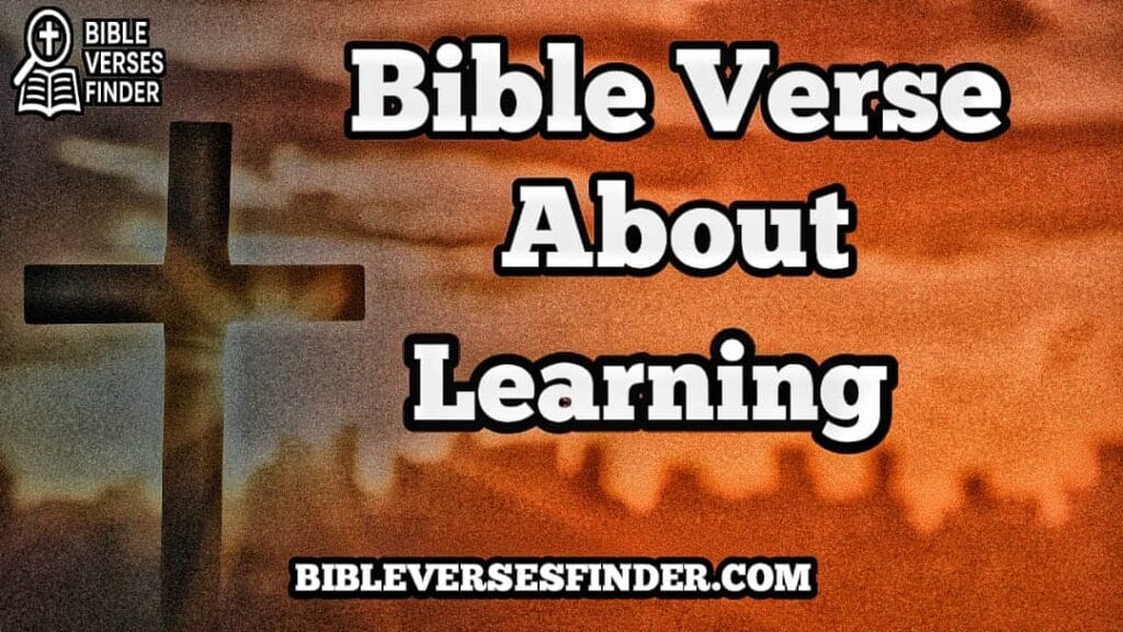 Bible Verse About Learning