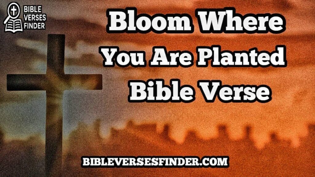 Bloom Where You Are Planted Bible Verse