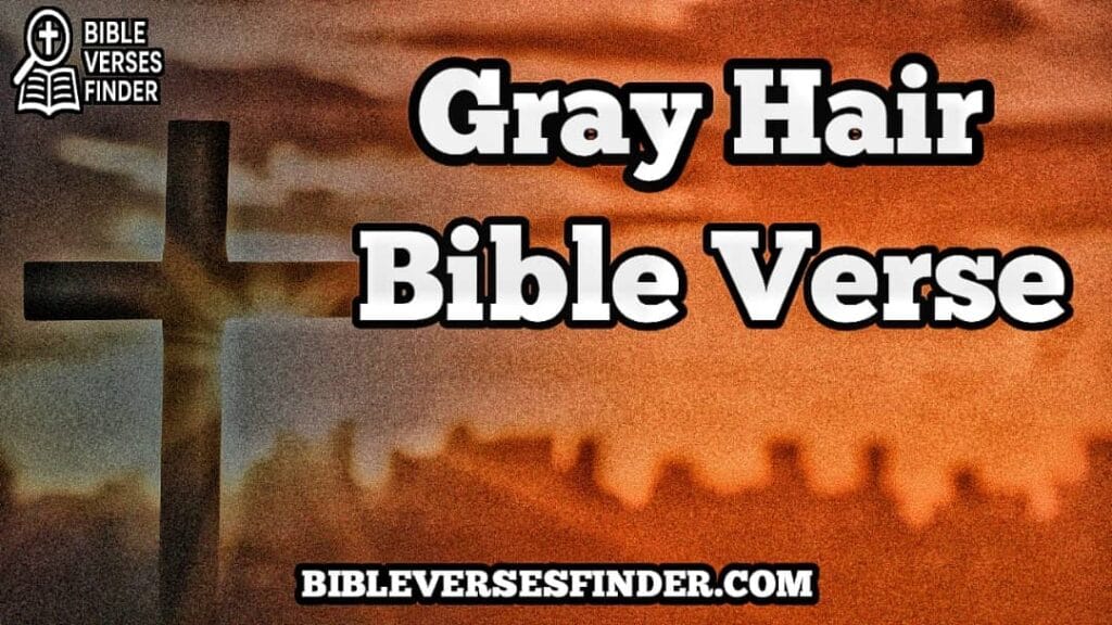 Gray Hair Bible Verse