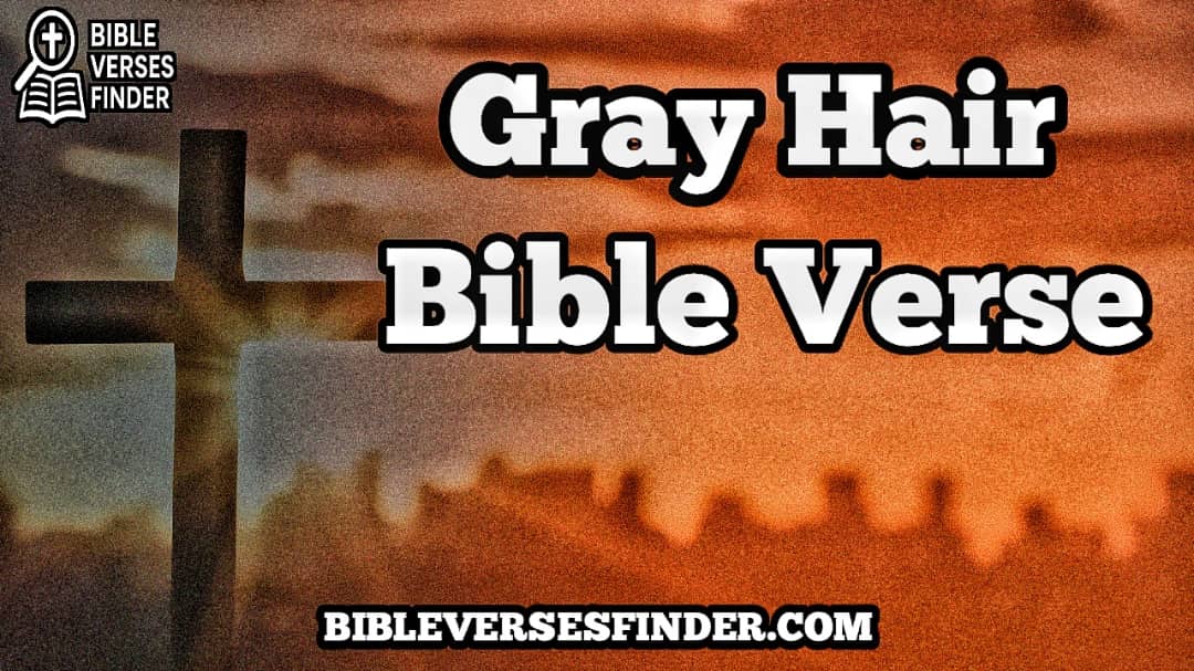 Gray Hair Bible Verse