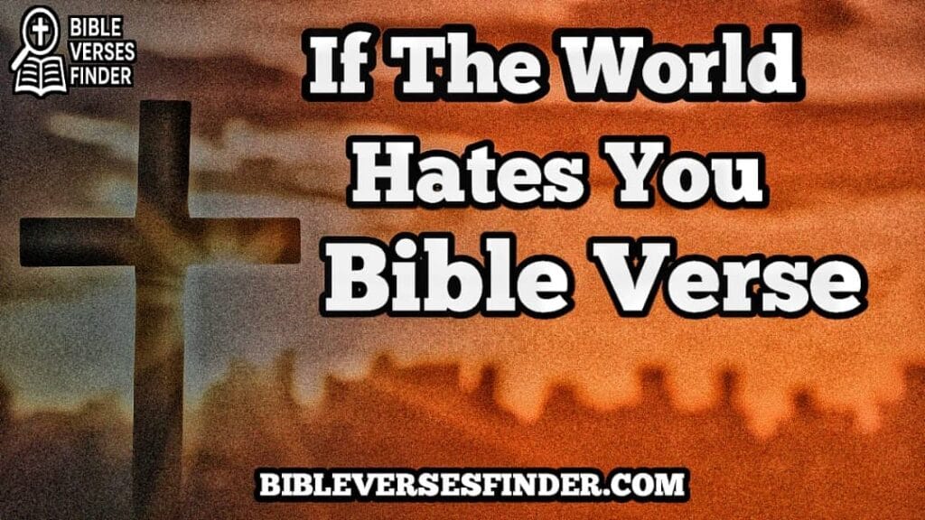 If The World Hates You Bible Verse