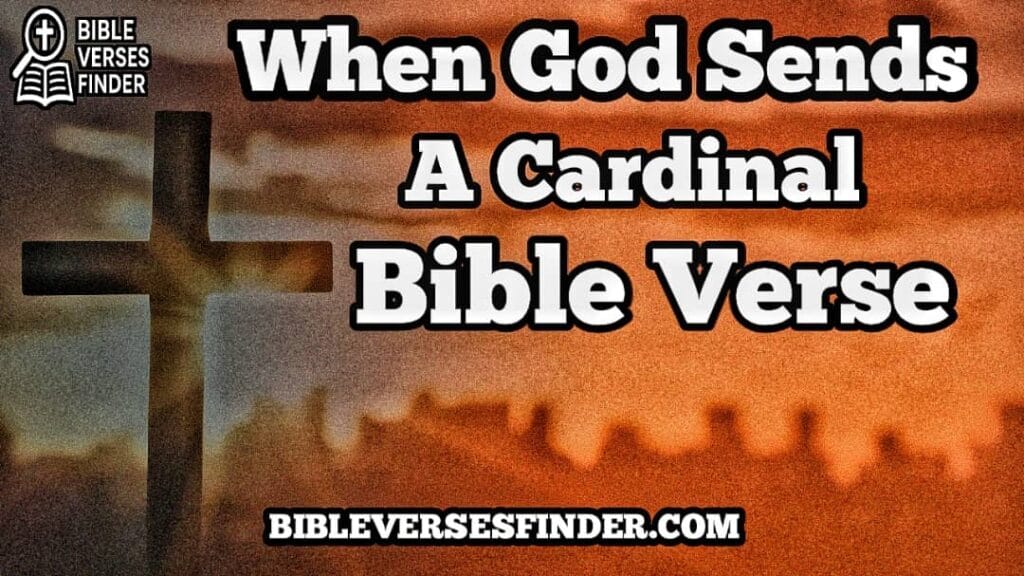 When God Sends A Cardinal Bible Verse