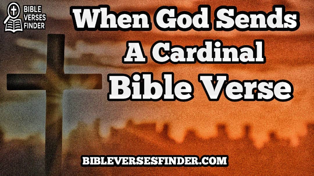 When God Sends A Cardinal Bible Verse